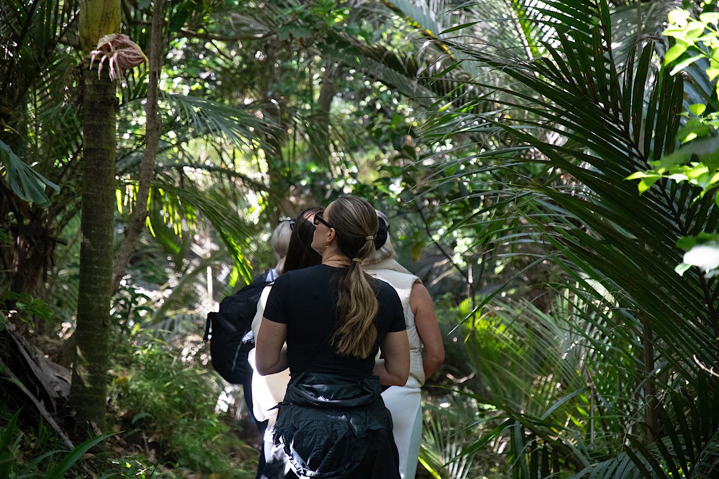A line of women walk through a forest